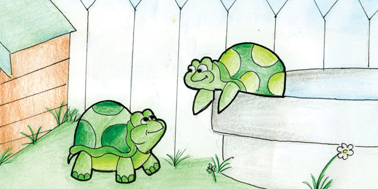 A turtle tale-una storia di tartarughe